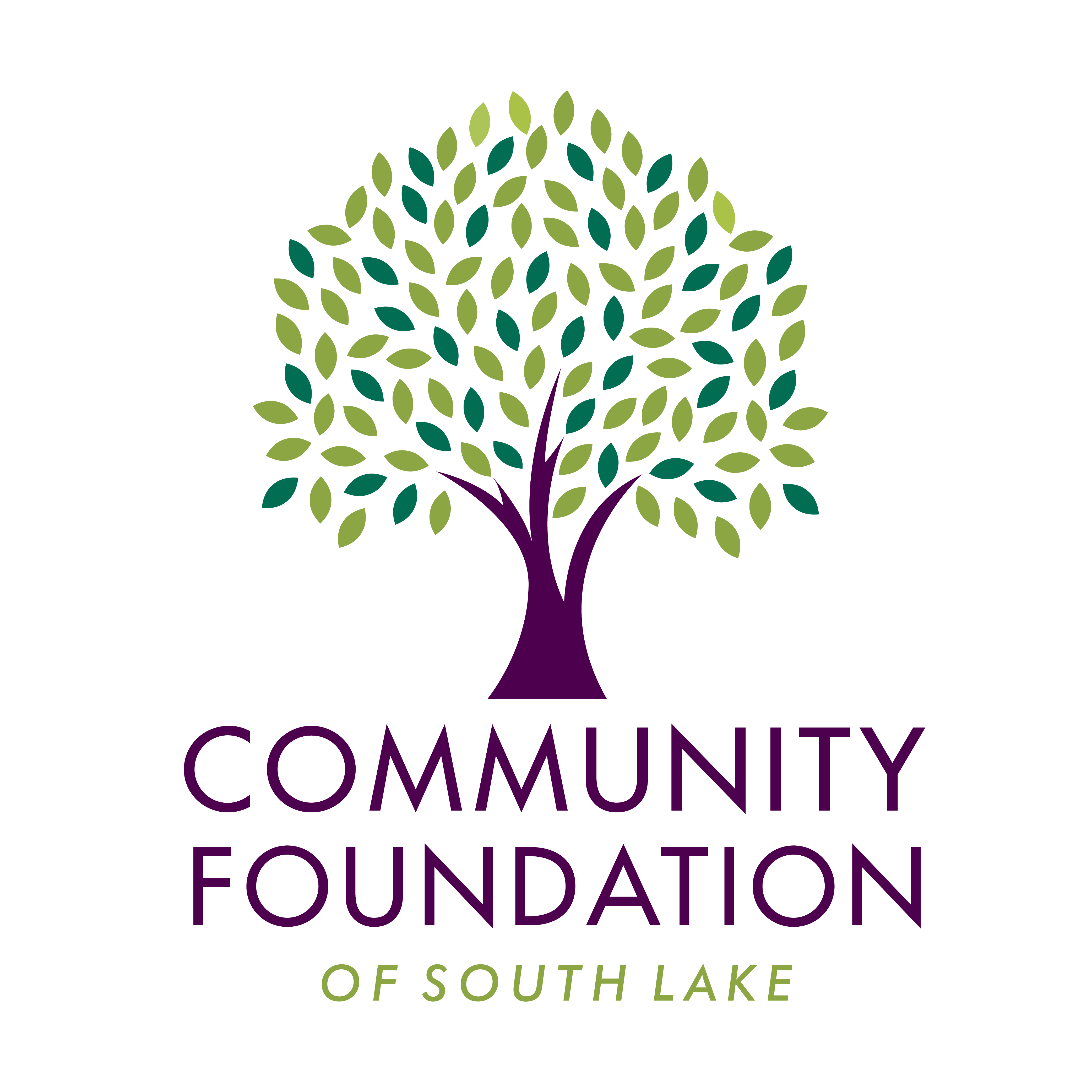 Community Foundation of South Lake | Client List | New Heights Communication | Clermont Marketing Agency | Local Social Media Agency | Local PR Company | NewHeightsComm.com